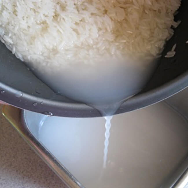 Cách làm giấm gạo